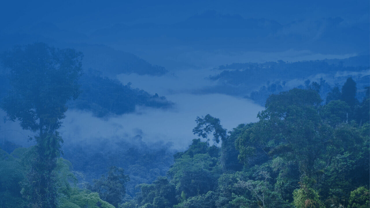 How ESG Storytelling Impacts Your Brand